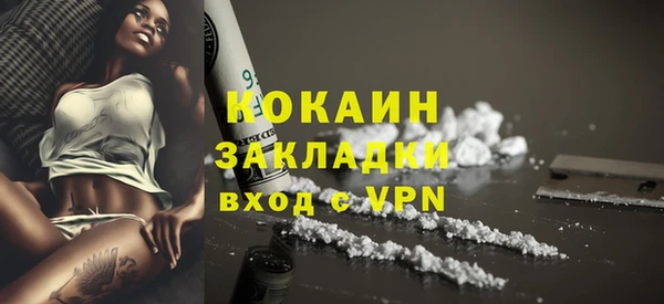 каннабис Новозыбков