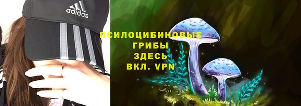 каннабис Новозыбков