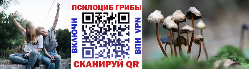 Псилоцибиновые грибы прущие грибы  дарк нет наркотические препараты  Ковылкино 
